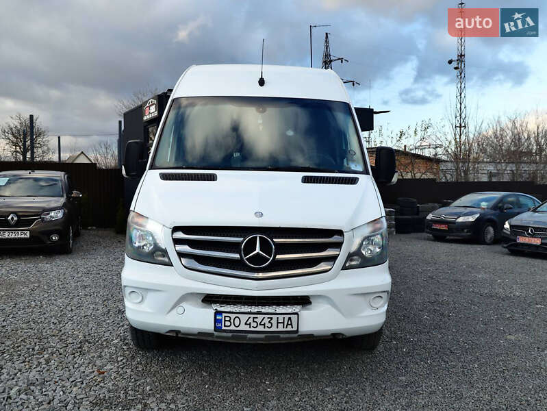 Мікроавтобус Mercedes-Benz Sprinter 2014 в Кременці