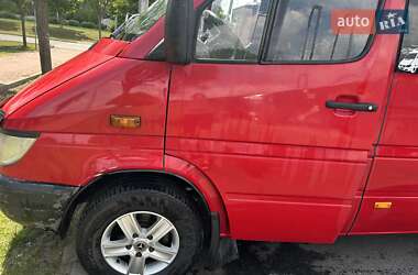 Микроавтобус Mercedes-Benz Sprinter 2006 в Тячеве