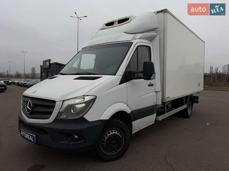Другие грузовики Mercedes-Benz Sprinter 2014 в Кривом Роге