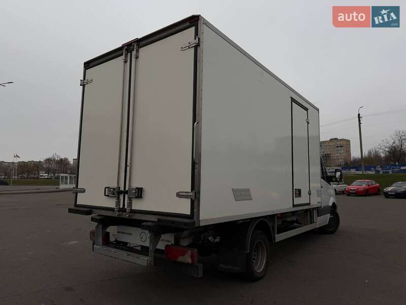 Другие грузовики Mercedes-Benz Sprinter 2014 в Кривом Роге