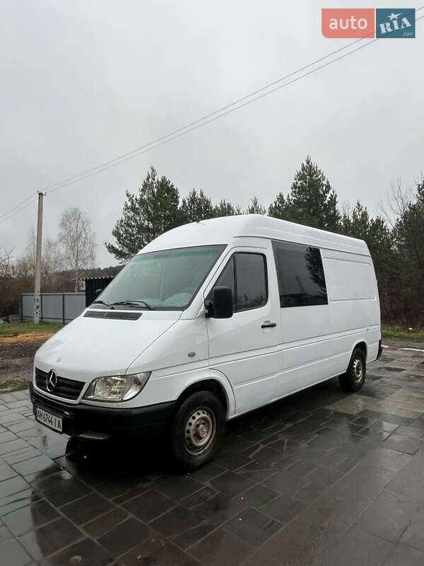 Грузопассажирский фургон Mercedes-Benz Sprinter 2004 в Житомире