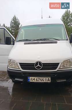 Грузопассажирский фургон Mercedes-Benz Sprinter 2004 в Житомире