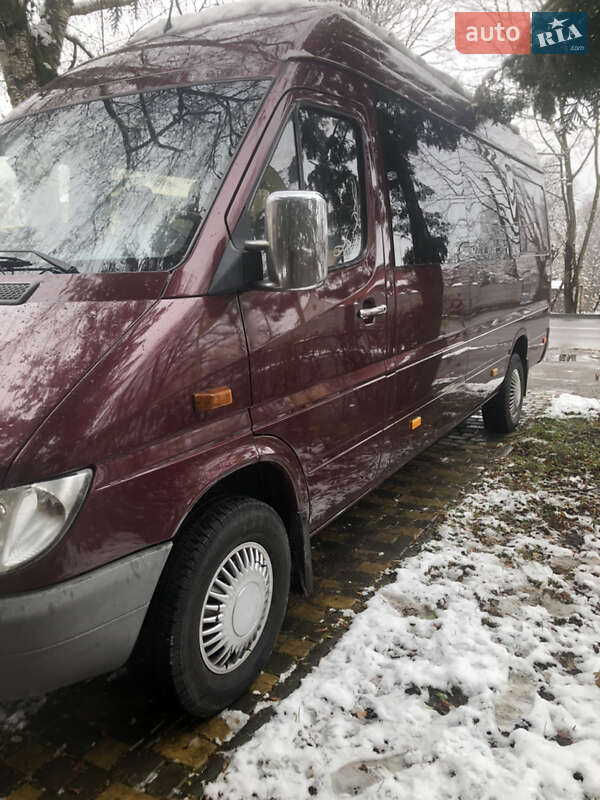 Минивэн Mercedes-Benz Sprinter 2005 в Богородчанах