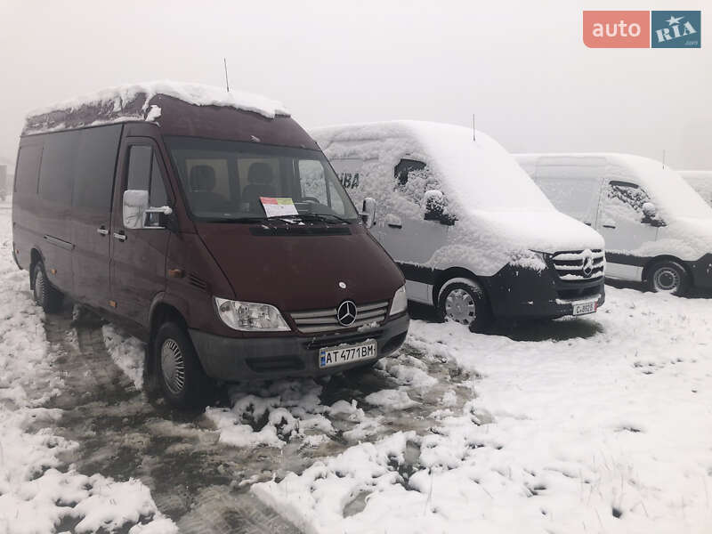 Минивэн Mercedes-Benz Sprinter 2005 в Богородчанах