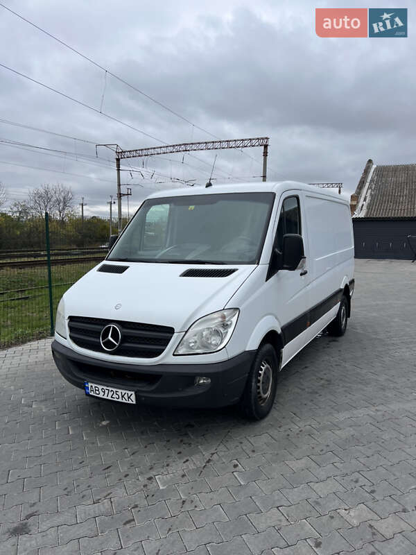 Інші вантажівки Mercedes-Benz Sprinter 2009 в Шепетівці