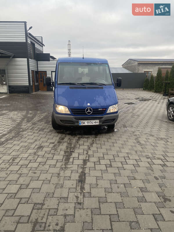 Минивэн Mercedes-Benz Sprinter 2004 в Дубровице