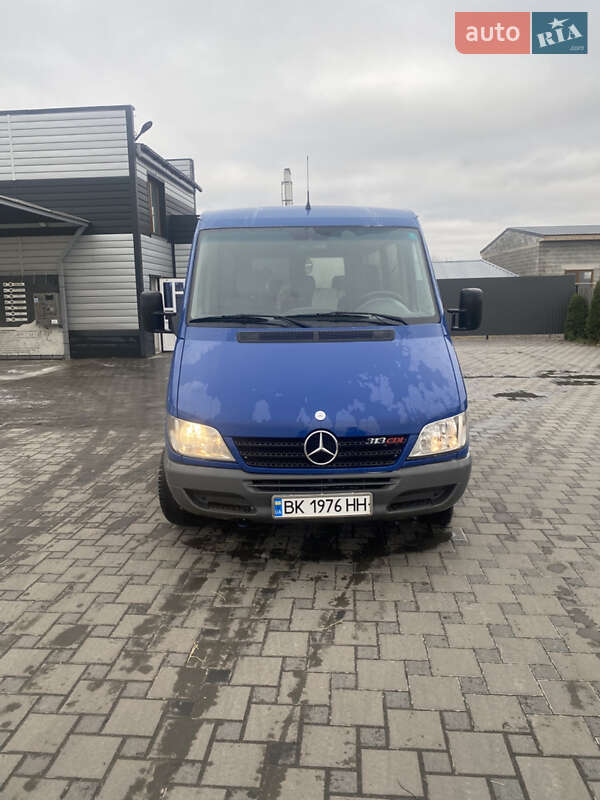 Минивэн Mercedes-Benz Sprinter 2004 в Дубровице