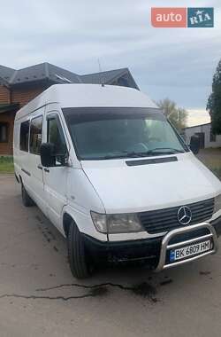 Минивэн Mercedes-Benz Sprinter 1998 в Скалате