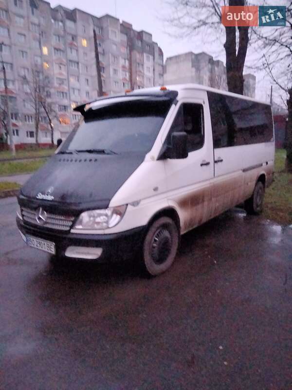 Минивэн Mercedes-Benz Sprinter 2005 в Хмельницком
