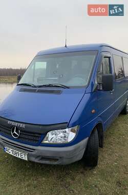 Минивэн Mercedes-Benz Sprinter 2004 в Любешове