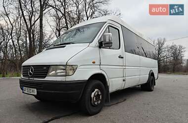 Микроавтобус Mercedes-Benz Sprinter 1996 в Запорожье