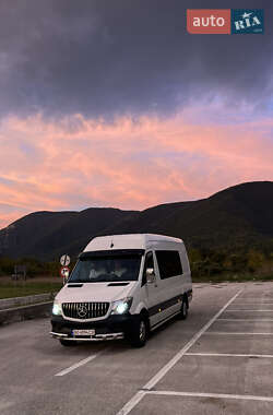 Мінівен Mercedes-Benz Sprinter 2014 в Тячеві