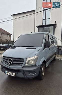 Минивэн Mercedes-Benz Sprinter 2014 в Киеве