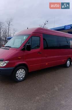 Минивэн Mercedes-Benz Sprinter 2005 в Черновцах