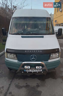 Микроавтобус Mercedes-Benz Sprinter 2000 в Кропивницком