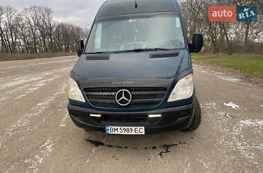 Минивэн Mercedes-Benz Sprinter 2006 в Смеле
