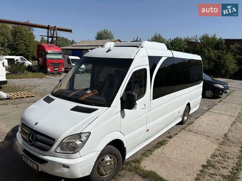 Мікроавтобус Mercedes-Benz Sprinter 2010 в Солотвині