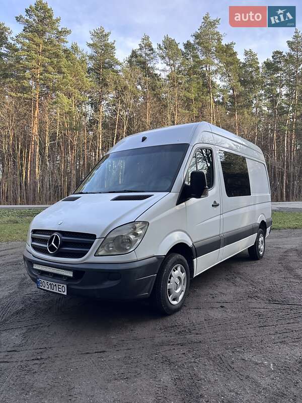 Минивэн Mercedes-Benz Sprinter 2008 в Кременце