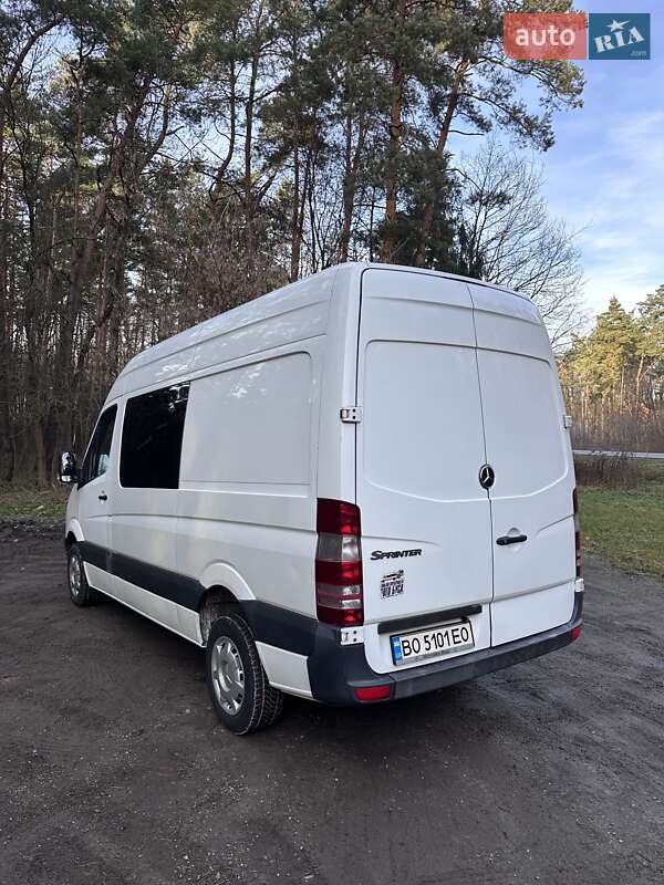 Минивэн Mercedes-Benz Sprinter 2008 в Кременце