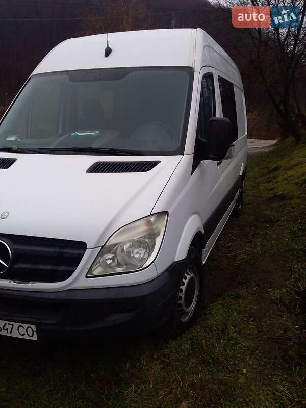 Микровэн Mercedes-Benz Sprinter 2007 в Львове
