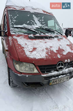 Грузовой фургон Mercedes-Benz Sprinter 2004 в Житомире