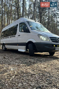 Мікроавтобус Mercedes-Benz Sprinter 2008 в Кременчуці