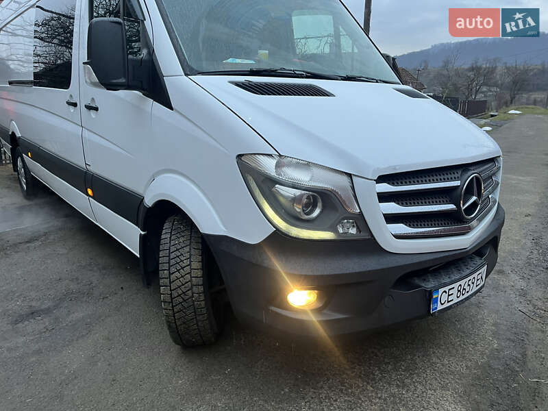 Микроавтобус Mercedes-Benz Sprinter 2014 в Сваляве