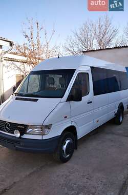 Микроавтобус Mercedes-Benz Sprinter 1999 в Кривом Роге
