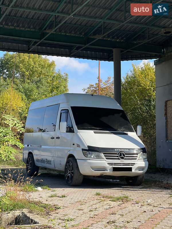 Минивэн Mercedes-Benz Sprinter 2003 в Тернополе