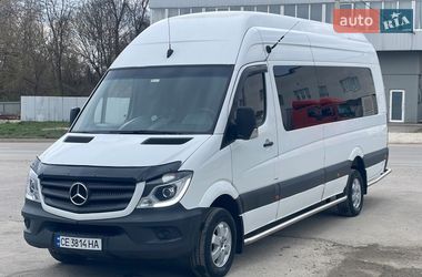 Мінівен Mercedes-Benz Sprinter 2010 в Чернівцях