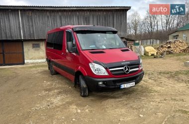 Микровэн Mercedes-Benz Sprinter 2009 в Черновцах
