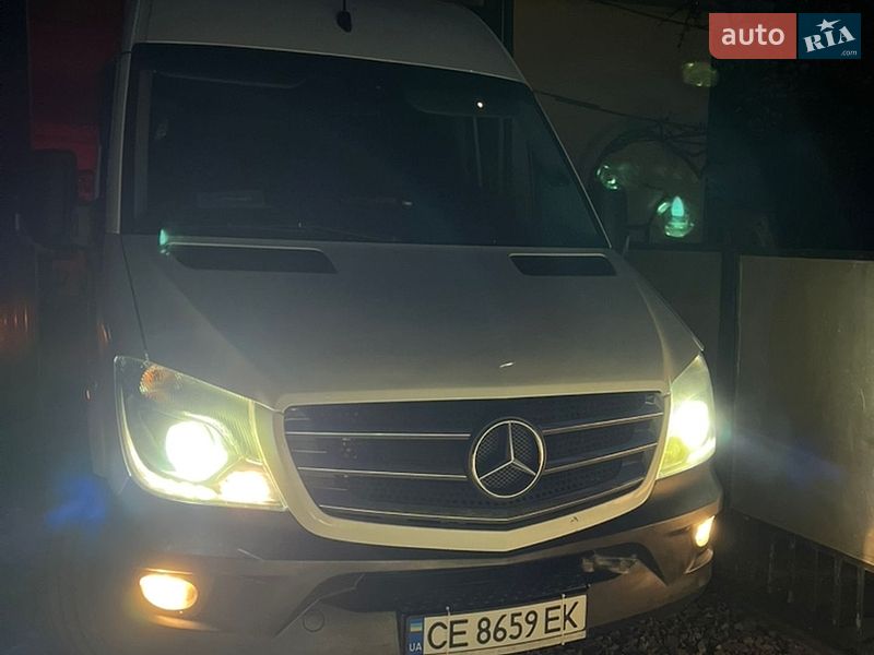 Микроавтобус Mercedes-Benz Sprinter 2014 в Сваляве