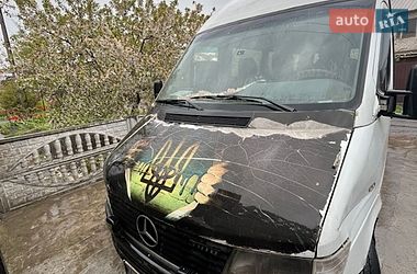 Хэтчбек Mercedes-Benz Sprinter 1999 в Кривом Роге