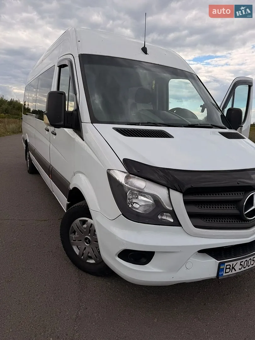 2010 Mercedes-Benz Sprinter - мініатюра 3