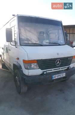 Грузовой фургон Mercedes-Benz Vario 1999 в Запорожье
