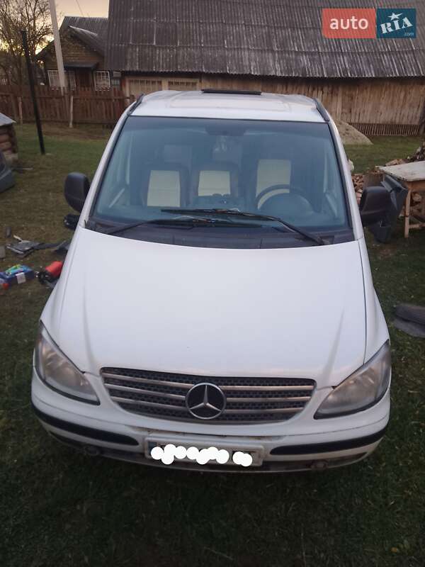 Минивэн Mercedes-Benz Vito 2005 в Сколе