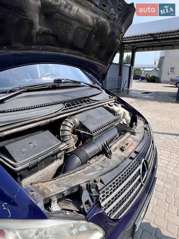 Мінівен Mercedes-Benz Vito 2004 в Самборі