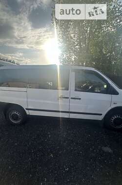 Мінівен Mercedes-Benz Vito 2003 в Черкасах