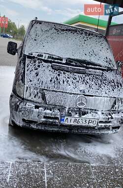 Минивэн Mercedes-Benz Vito 2002 в Киеве