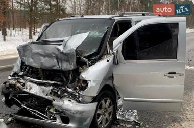 Мікроавтобус Mercedes-Benz Vito 2001 в Житомирі