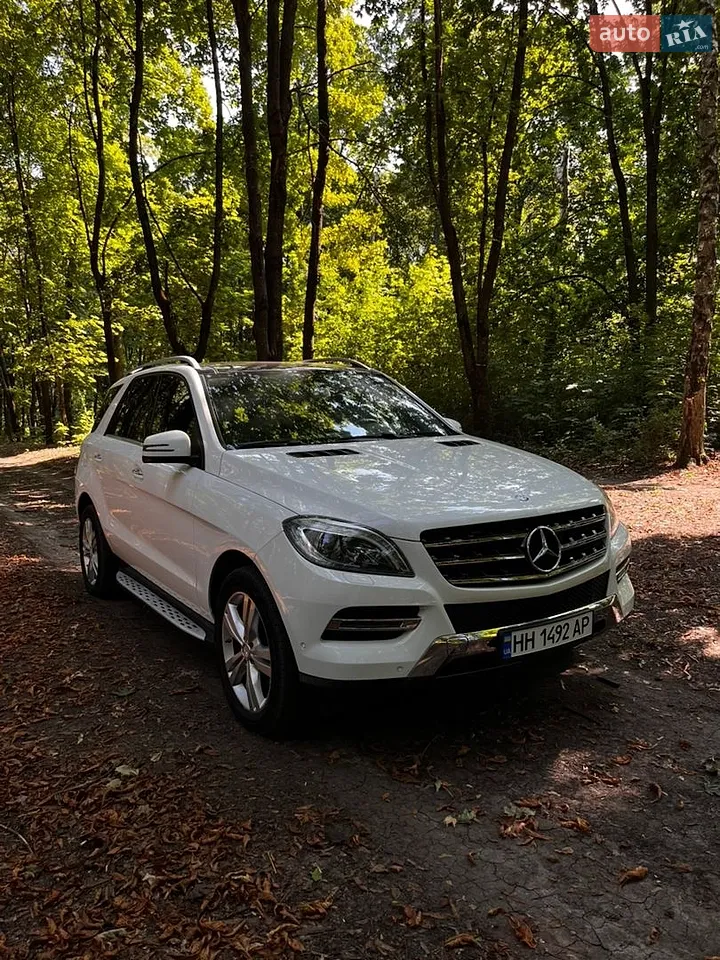 2014 Mercedes-Benz M-klasse - мініатюра 67
