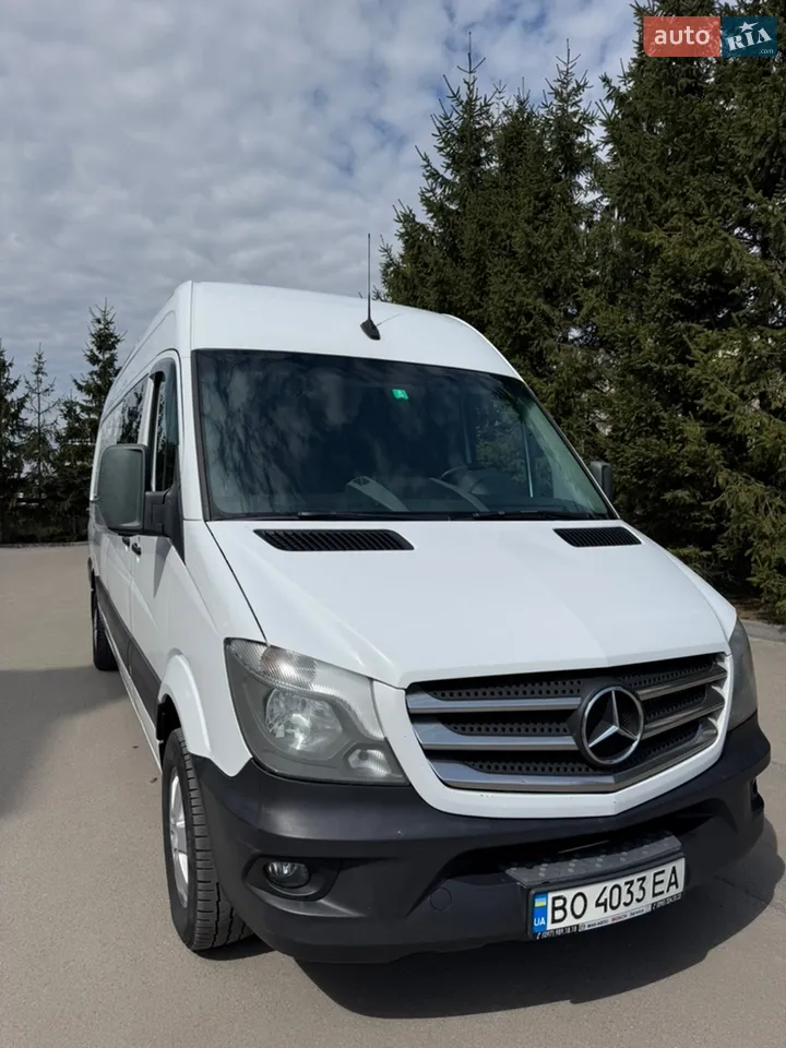 2018 Mercedes-Benz Sprinter - мініатюра 18
