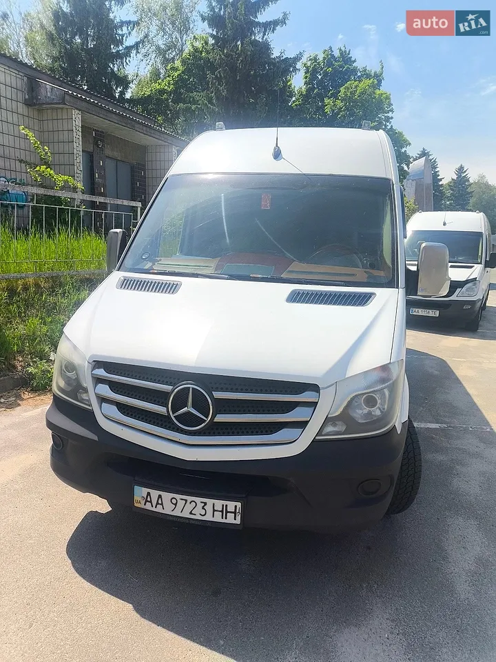 2010 Mercedes-Benz Sprinter - мініатюра 18
