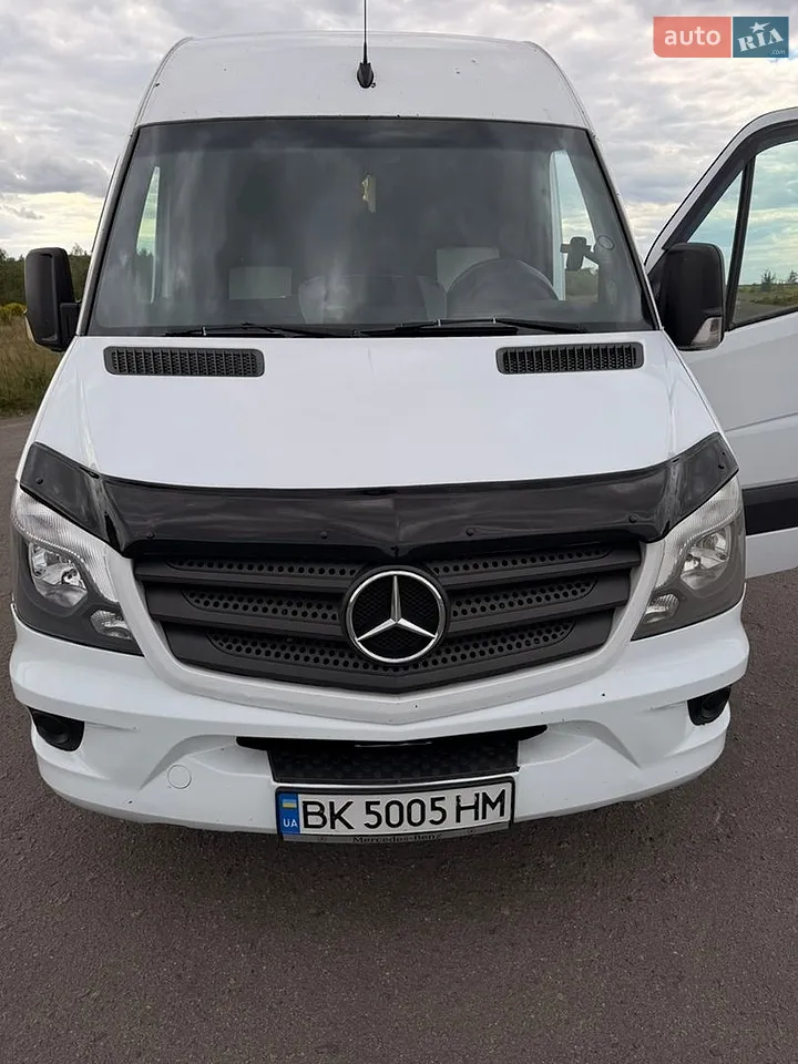 2010 Mercedes-Benz Sprinter - мініатюра 31