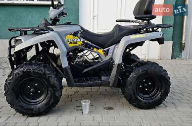Квадроцикл  утилитарный Mikilon Hamer 200L 2024 в 