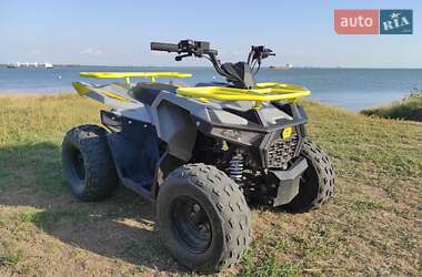 Квадроцикл утилітарний Mikilon Hammer 125 2024 в 