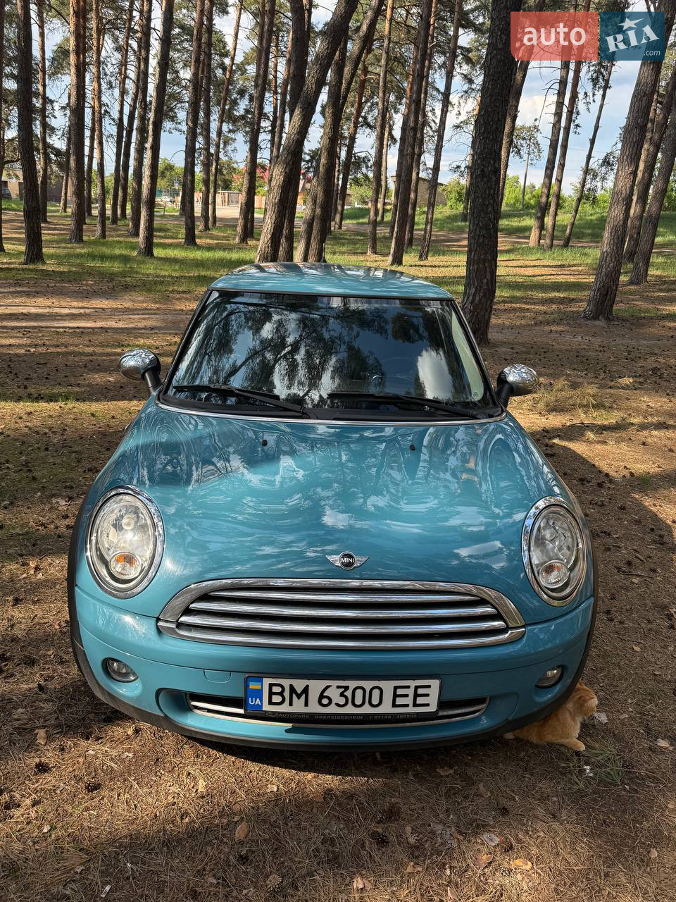 2010 MINI Cooper - мініатюра 8