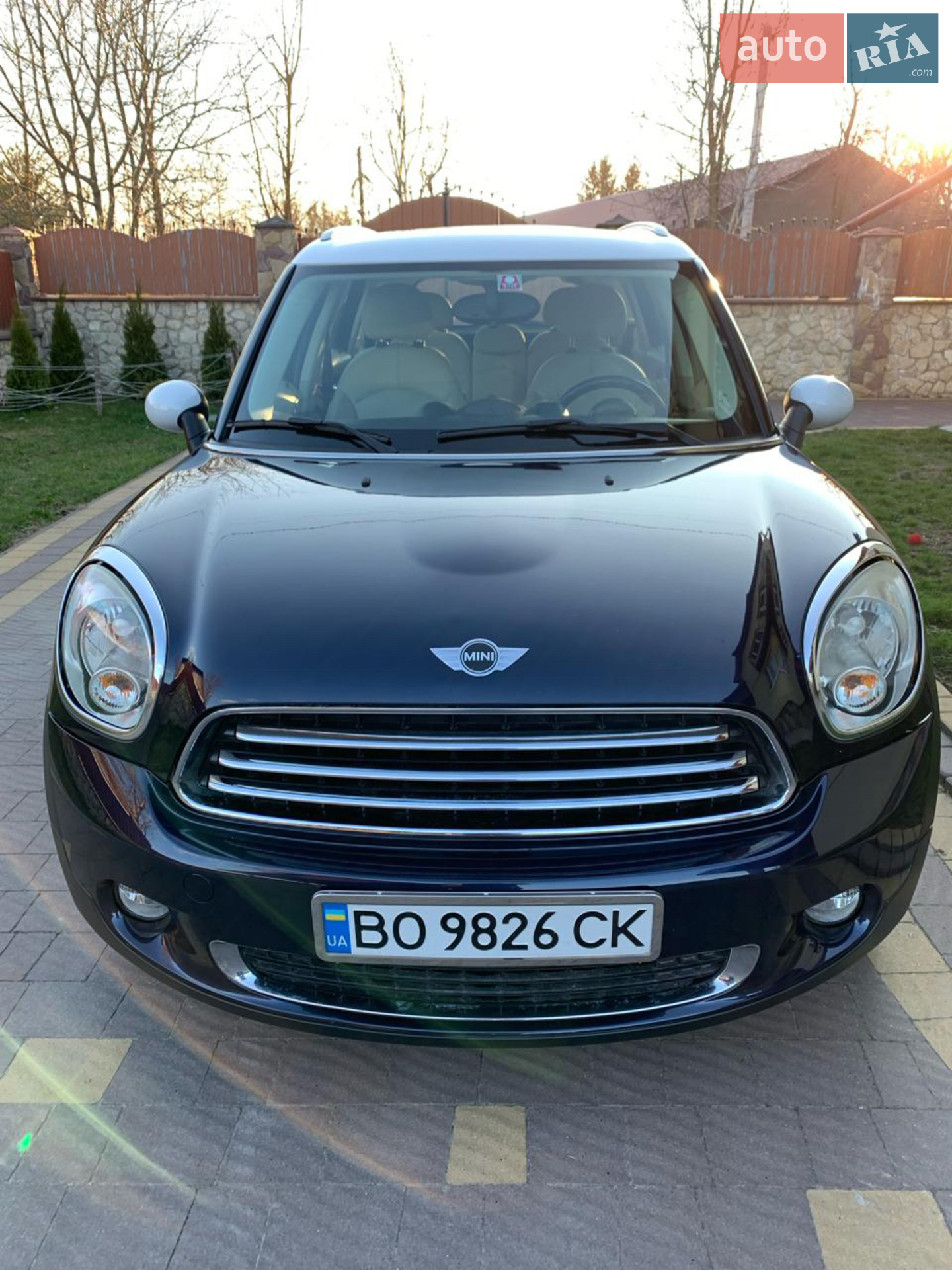 2010 MINI Countryman - мініатюра 2