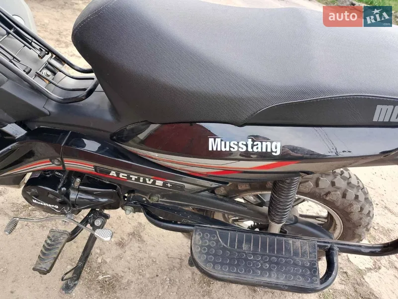 Musstang Active 2025 VIN LDLXCJLA1SS020485 фото оголошення 4 з 21