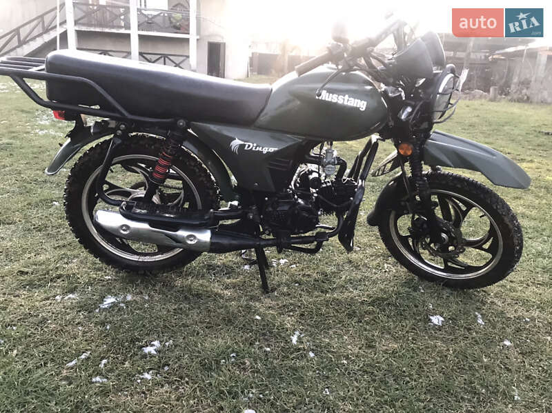 Мотоцикл Многоцелевой (All-round) Musstang Dingo 2020 в Иршаве